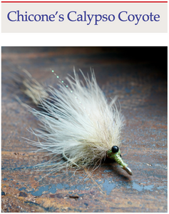 Belize Flies (eBook)
