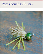 Load image into Gallery viewer, Belize Flies (eBook)