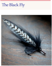Load image into Gallery viewer, Belize Flies (eBook)