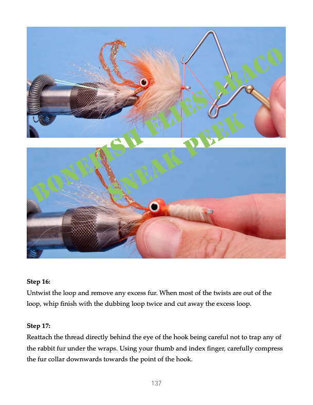 Bonefish Flies Abaco (eBook)