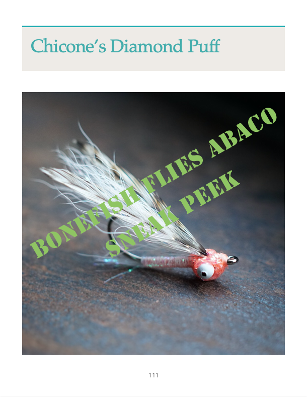 abaco fishing lures Bonefish Flies Combo (eBook)