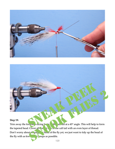 Snook Flies 2 (eBook)