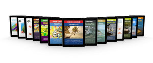 Buy All 15 of Drew's eBooks And Save $!