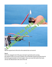 Load image into Gallery viewer, Largemouth Bass Flies (Paperback or Hardcover)