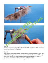 Load image into Gallery viewer, Largemouth Bass Flies (Paperback or Hardcover)