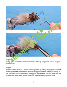 Fly Fishing Chronicles: Wet Fly Tying Feathers (part 2)