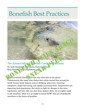 Load image into Gallery viewer, Bonefish Flies Abaco (Paperback or Hardcover)