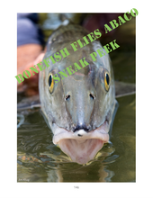 Load image into Gallery viewer, Bonefish Flies Abaco (eBook)