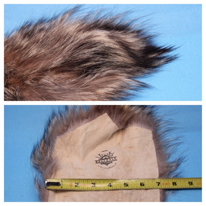 Coyote Fur