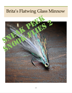 Snook Flies Combo (Paperback)