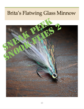 Load image into Gallery viewer, Snook Flies Combo (eBook)