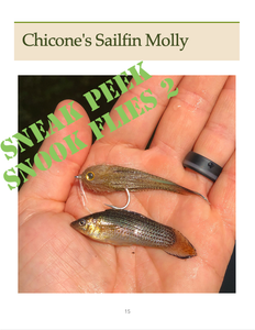 Snook Flies Combo (eBook)