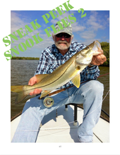 Load image into Gallery viewer, Snook Flies Combo (Paperback)