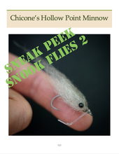 Load image into Gallery viewer, Snook Flies Combo (Paperback)