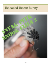 Load image into Gallery viewer, Snook Flies 2 (eBook)