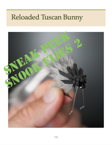 Snook Flies Combo (eBook)