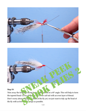 Load image into Gallery viewer, Snook Flies 2 (eBook)