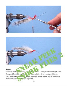 Snook Flies Combo (Paperback)